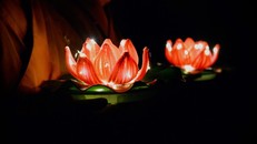 Tinh thần tu tập nhìn từ bài sám hối phát nguyện