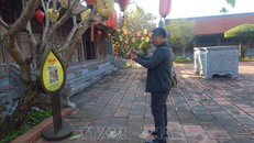 Số hóa giúp bảo tồn, phát huy hiệu quả các giá trị di tích