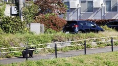 Báo động số vụ gấu tấn công người tại Nhật Bản