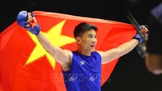 Việt Nam là thành viên sáng lập Hiệp hội Võ thuật tổng hợp Đông Nam Á