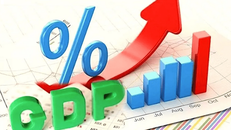 Thủ tướng chỉ đạo đẩy mạnh một số nhiệm vụ trọng tâm thực hiện mục tiêu tăng trưởng kinh tế năm 2026