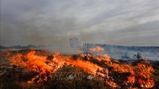 Argentina: Hỏa hoạn nghiêm trọng thiêu rụi 230.000 ha rừng