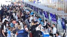 Giám sát chặt chẽ nguồn lây bệnh do virus Nipah ngay từ cửa khẩu, sân bay, cảng biển