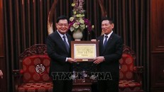 Phó Thủ tướng Hồ Đức Phớc tiếp nguyên Phó Thủ tướng Singapore