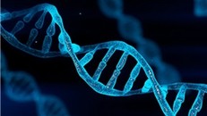 Ứng dụng AI để “giải mã” hệ miễn dịch con người