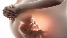 Cơ chế tự nhiên giúp bảo vệ gan trẻ em từ trong bụng mẹ