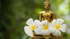 Mối liên hệ giữa Tam tuệ học và Tam vô lậu học trong giáo lý giải thoát