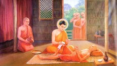 Đức Phật thăm Tỷ-kheo lâm bệnh và những lời dạy của Ngài về việc chăm sóc Tỷ-kheo lâm bệnh