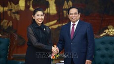 Thủ tướng Chính phủ Phạm Minh Chính tiếp Đại sứ Thái Lan tại Việt Nam