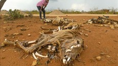 LHQ thông qua khung thống kê toàn cầu đầu tiên về rủi ro và tác động thiên tai