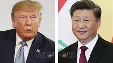 Tổng thống Mỹ Donald Trump (trái) và Chủ tịch Trung Quốc Tập Cận Bình. Ảnh: Kyodo/TTXVN