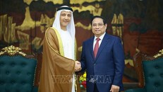 Thủ tướng Phạm Minh Chính đề nghị hiện thực hóa kết quả điện đàm giữa Thủ tướng với Tổng thống UAE