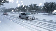 Bão tuyết và dông lốc hoành hành khắp nước Mỹ, hàng nghìn chuyến bay bị hủy