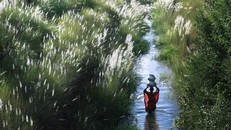 Khủng hoảng nước toàn cầu đang trở nên trầm trọng hơn do bất bình đẳng giới