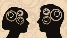 Hé lộ khác biệt trong hoạt động gen giữa tế bào não nam và nữ