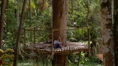 Hơn 100.000 trường học đã tuân thủ hướng dẫn về trường học xanh của UNESCO