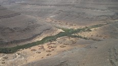Dấu tích về thời kỳ xanh tươi của sa mạc Sahara