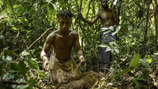 Con người và thiên nhiên: UNESCO gìn giữ sự sống và di sản