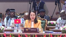 Việt Nam sẵn sàng thúc đẩy kết nối BRICS với khu vực châu Á - Thái Bình Dương