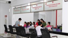 Thành phố Hồ Chí Minh tăng tốc rà soát, xử lý văn bản quy phạm pháp luật
