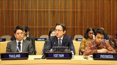 Việt Nam tham gia Nhóm Bạn bè tại LHQ về phòng, chống mua bán người sử dụng công nghệ