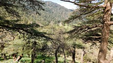 UNESCO công nhận vườn quốc gia Algeria là Khu dự trữ sinh quyển thế giới