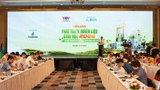 Hội trường tổ chức