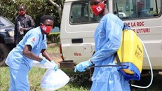 Tỷ lệ tử vong vì Ebola ở CHDC Congo lên tới 32%