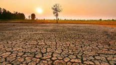 Cảnh báo hiện tượng El Nino đạt đỉnh vào năm 2027