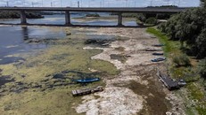 Nắng nóng trên khắp châu Âu cướp đi hàng nghìn sinh mạng và làm cạn kiệt nguồn nước