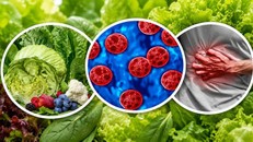 Mỹ ghi nhận hơn 11.000 ca nhiễm cyclospora tại nhiều bang