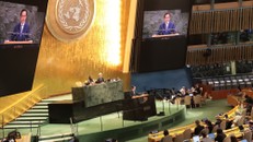 UNESCO và nhiều nước hoan nghênh sáng kiến văn hoá do Việt Nam thúc đẩy