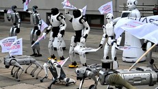Robot biểu tình "chống lại" AI