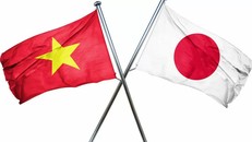 Việt Nam và Nhật Bản cùng tiến bước trong kỷ nguyên phát triển mới