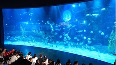 Những tiết mục đặc biệt như múa lân dưới nước và show nàng tiên cá là điểm nhấn trong mùa Trung Thu năm nay tại Thủy cung Lotte World Hà Nội. 