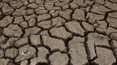 El Nino có thể gây ra hơn 450.000 ca tử vong do nắng nóng