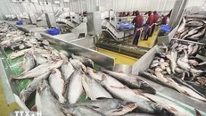 Việt Nam - Canada: Mở rộng không gian hợp tác mới