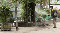 Xác định các điểm nguy cơ, phòng chống sốt xuất huyết trong mùa mưa
