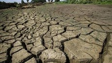 Một số khu vực miền Nam nước Anh ban bố tình trạng "hạn hán nghiêm trọng"
