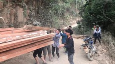 Tan hoang những mảnh rừng ở Nậm Pồ 