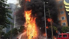 Bỏ qua nguyên tắc sinh tồn