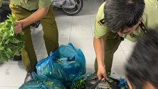 Phát hiện ngàn bao thuốc lá nhập lậu ngụy trang bên... trong rau muống