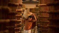 Nghề làm nước mắm ở Phú Quốc trở thành di sản văn hóa phi vật thể quốc gia