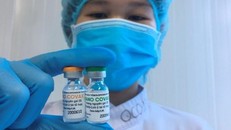 Doanh nghiệp đề xuất Chính phủ cấp phép khẩn cấp cho vaccine 'made in Việt Nam' NanoCovax 