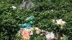 Cao Bằng: Rác thải 'bủa vây' lối vào thác Bản Giốc