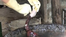 Phát hiện cơ sở ở Nghệ An dùng nhựa thông, hàn the sơ chế vịt