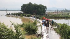 Hà Nội: Nước sông Bùi xuống mức báo động 3