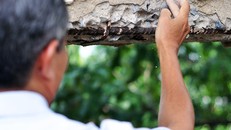 Vừa dạy học vừa run trong trường cấp 2 sắp sập