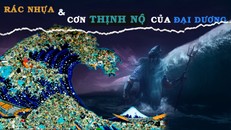 Rác nhựa và cơn thịnh nộ của đại dương