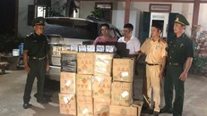 Số pháo lậu bị bộ đội Biên phòng Quảng Trị bắt giữ. (Ảnh: Mạnh Hùng)